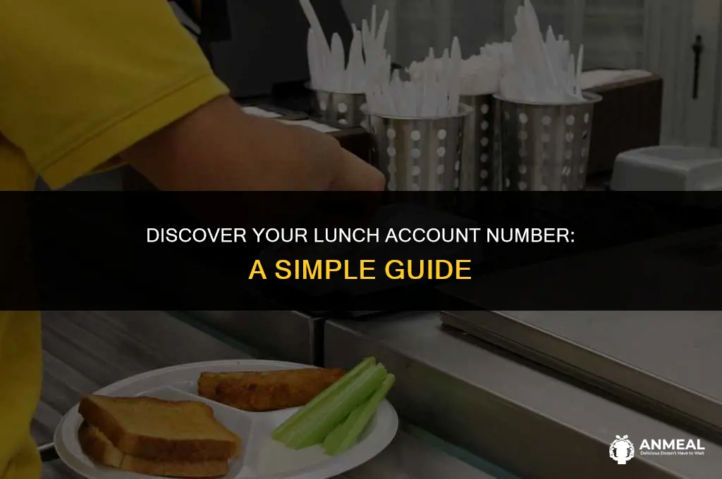how to find lunch account number