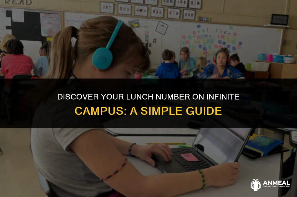how to find your lunch number on infinite campus