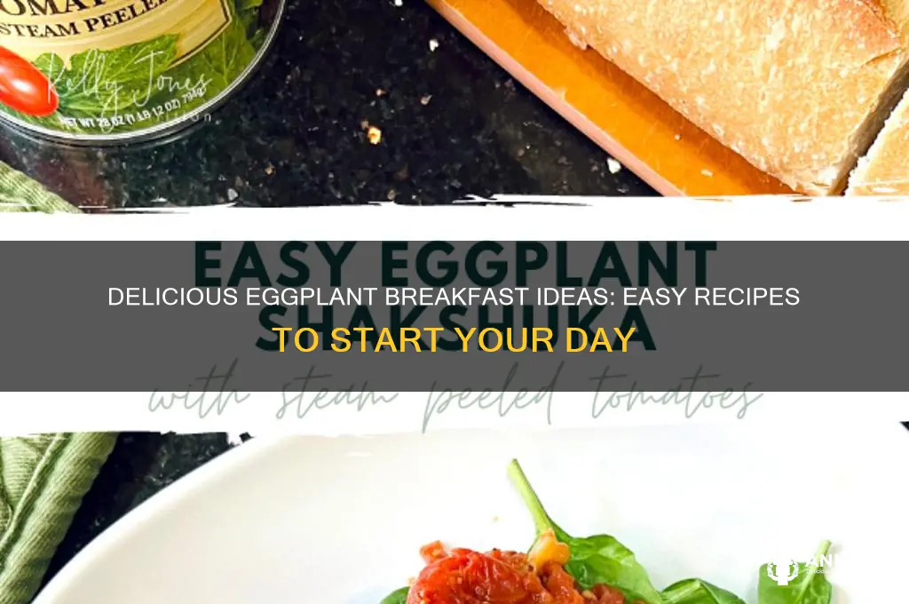 how to fix eggplant for breakfast