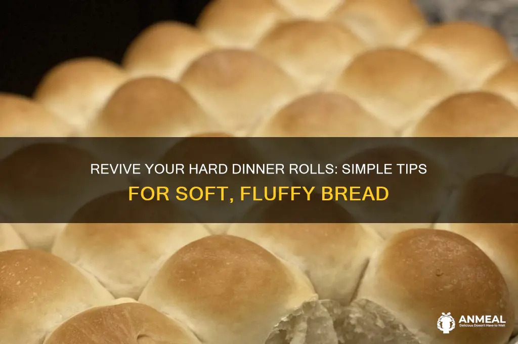 how to fix hard dinner rolls