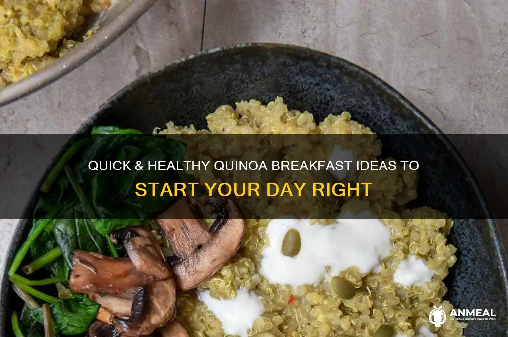 how to fix quinoa for breakfast