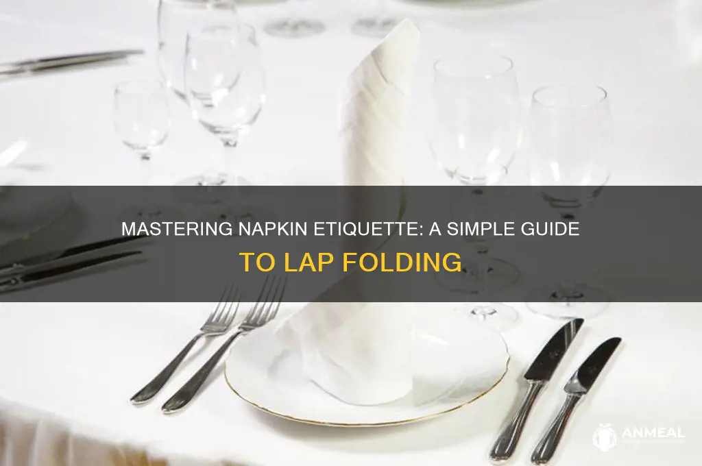 how to fold a dinner napkin in your lap