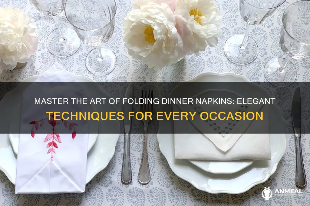 how to fold dinner namkins