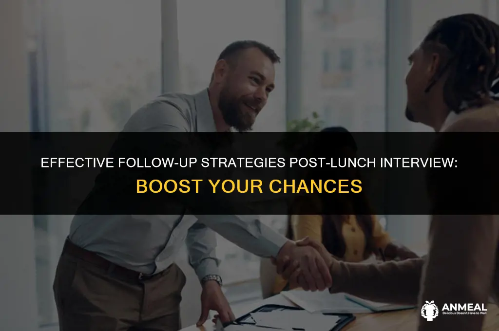 how to follow up after a lunch interview