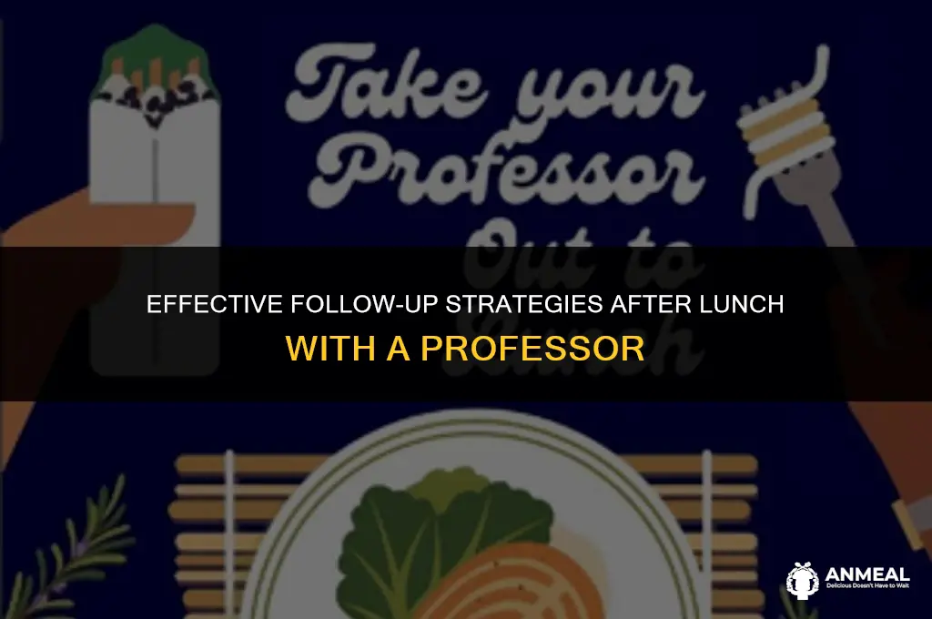 how to follow up on a lunch with a professor