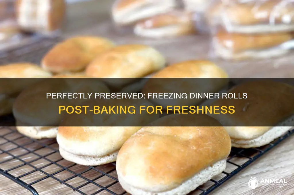 how to freeze dinner rolls after baking