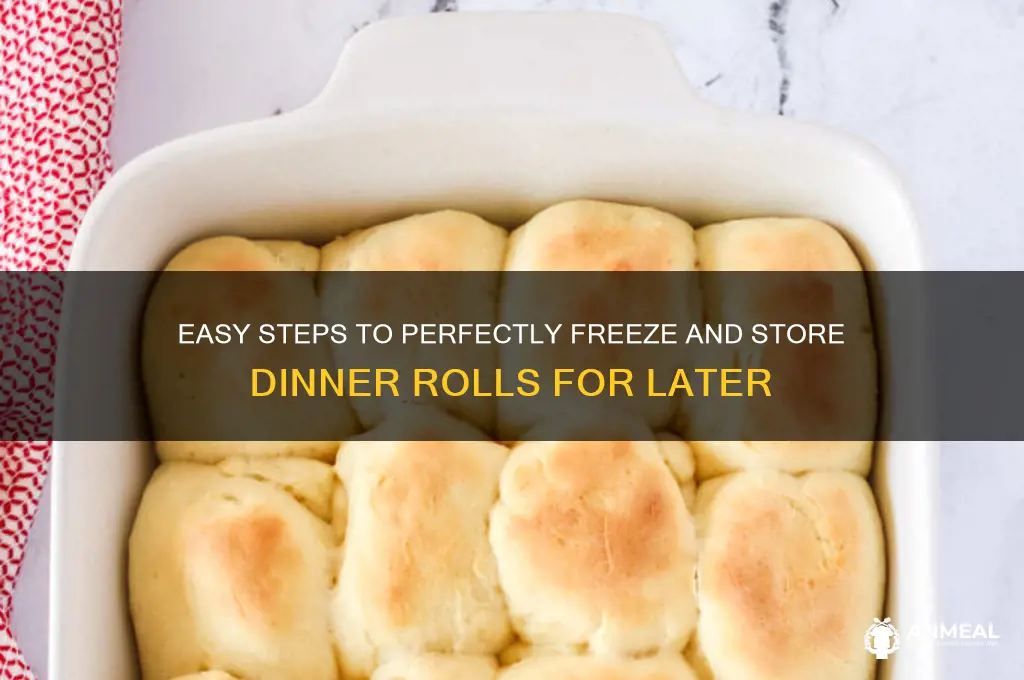 how to freeze dinner rolls