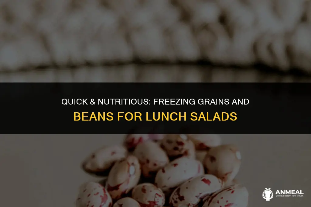 how to freeze grains and beans for lunch salads