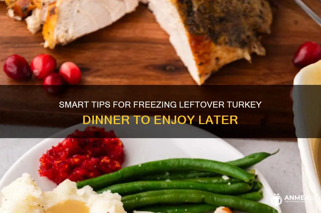 how to freeze leftover turkey dinner