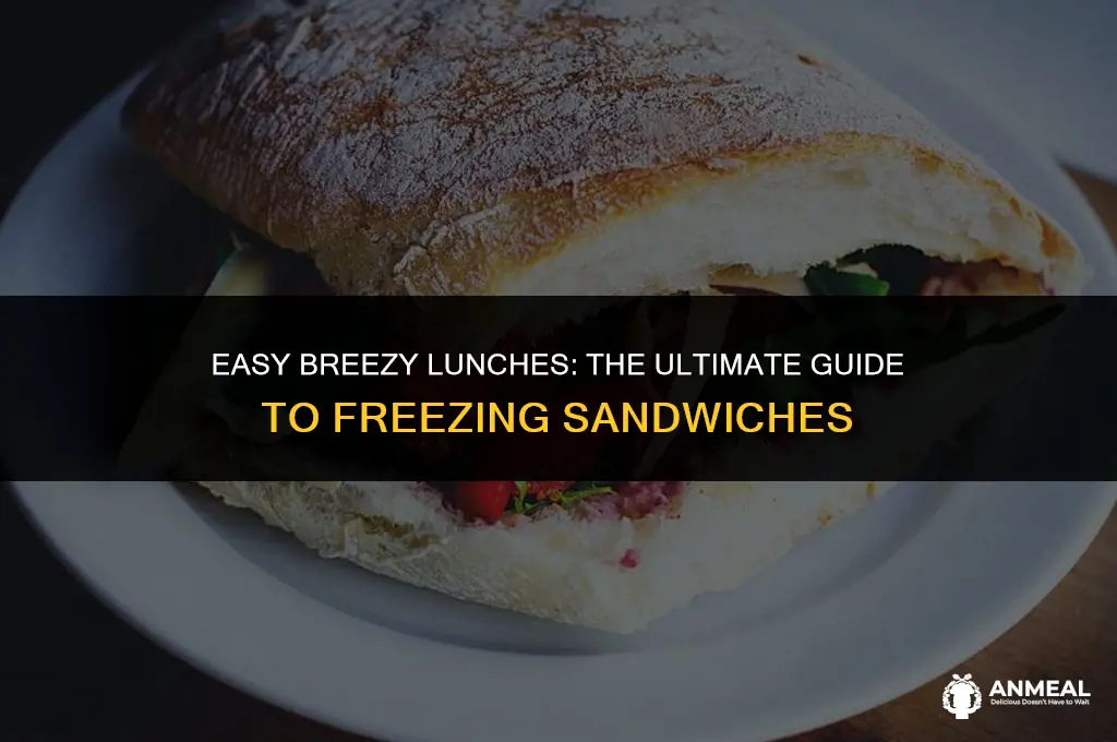 how to freeze sandwiches for lunch