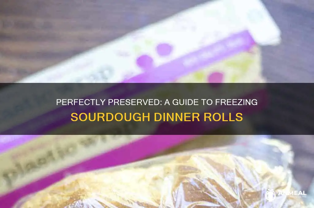 how to freeze sourdough dinner rolls