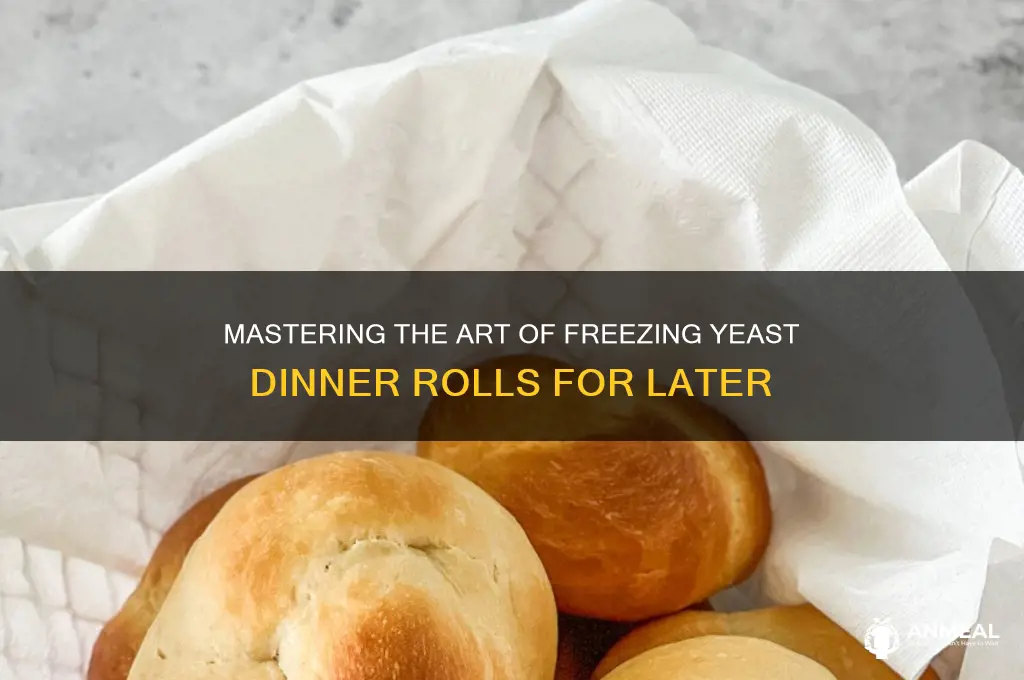 how to freeze yeast dinner rolls