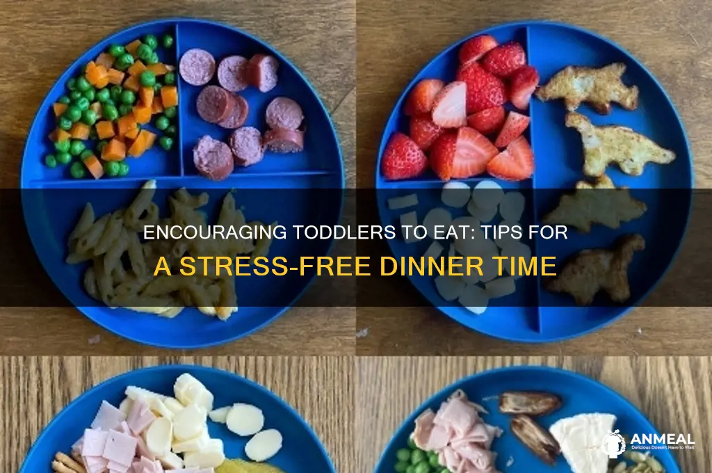 how to get 2 year old to finish dinner