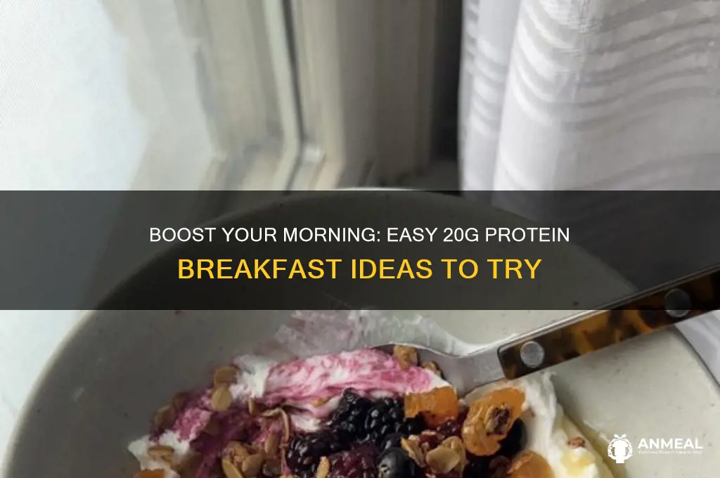 how to get 20 g of protein at breakfast