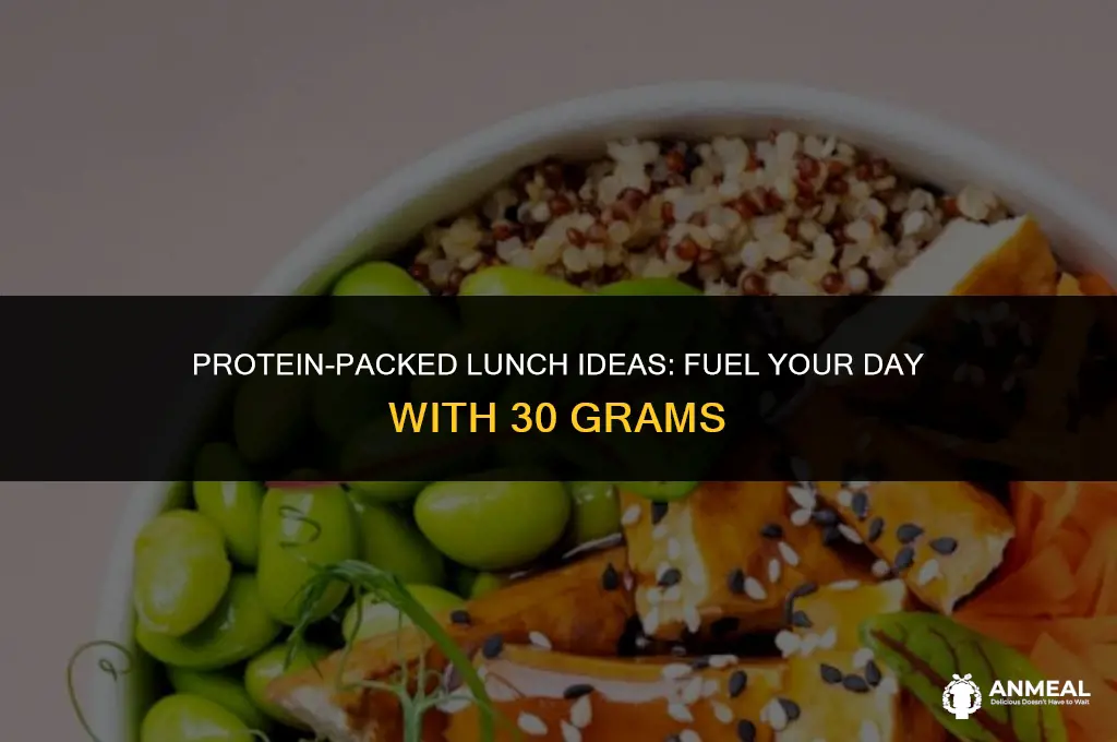 how to get 30 grams of protein for lunch