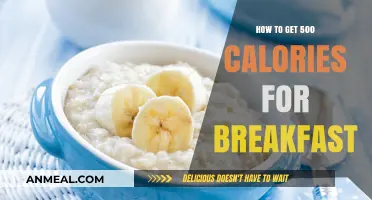 Fuel Your Morning: 500-Calorie Breakfast Ideas for Energy