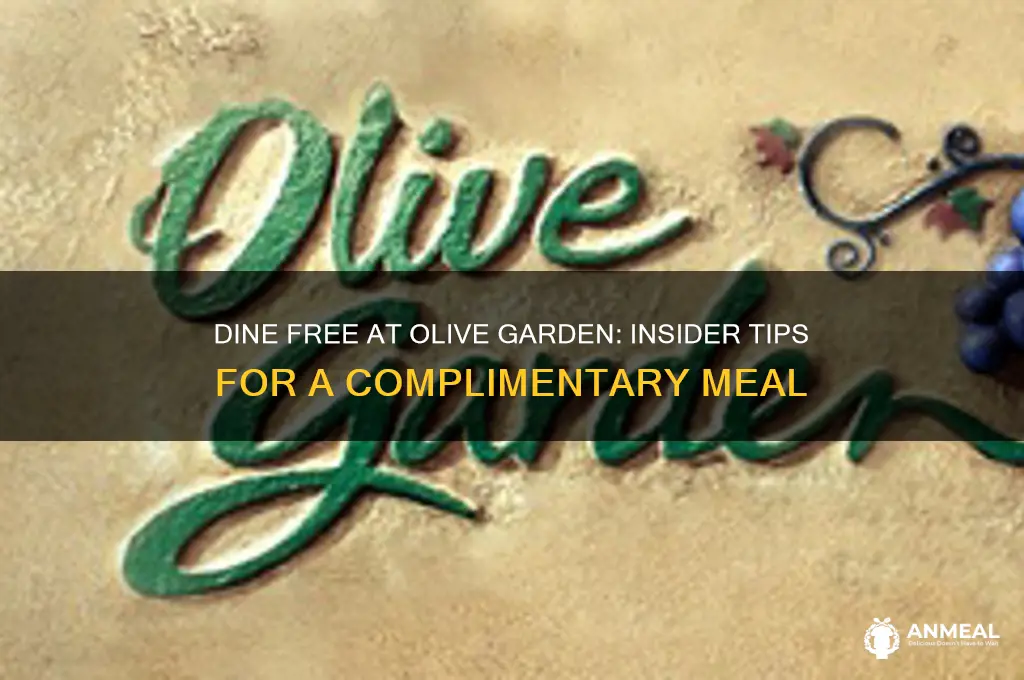 how to get a free dinner at olive garden