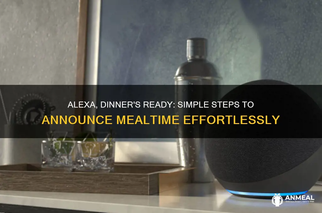 how to get alexa to announce dinner
