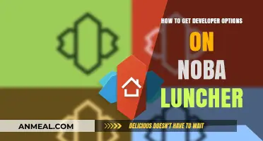 Unlocking Developer Options on Noba Launcher: A Step-by-Step Guide