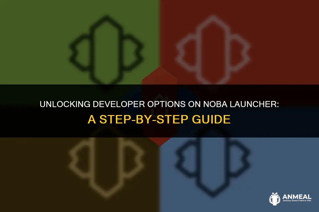 how to get developer options on noba luncher