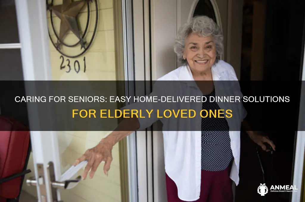 how to get dinner delivered to homebound elderly