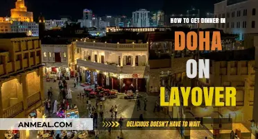 Quick Bites in Doha: Layover Dinner Guide for Travelers