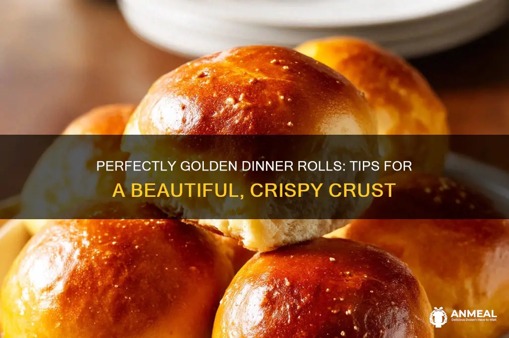 how to get dinner rolls golden