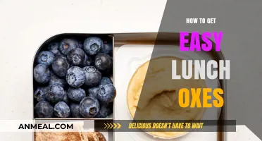 Quick and Easy Lunch Box Ideas for Busy Days