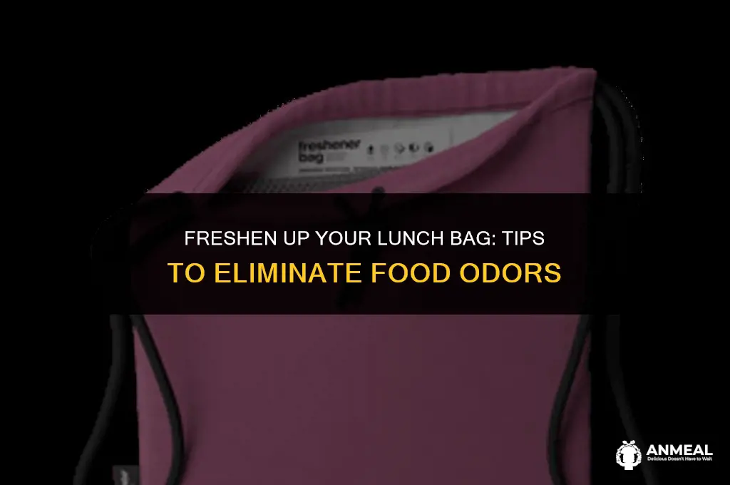 how to get food smell out of lunch bag