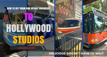 From Bon Voyage Breakfast to Hollywood Studios: A Seamless Disney Journey