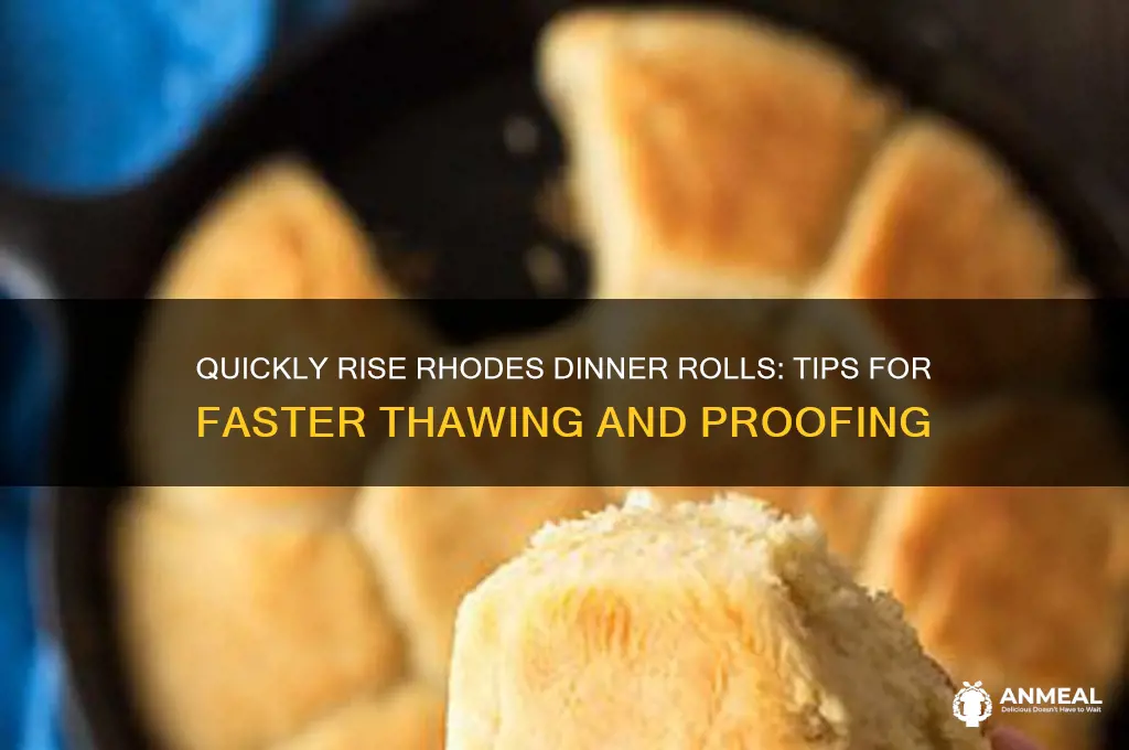 how to get frozen rhodes dinner rolls rise faster