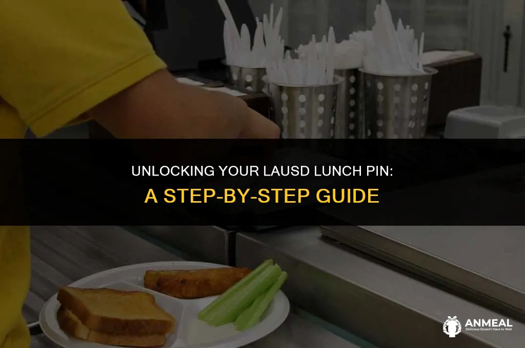how to get lausd lunch pin
