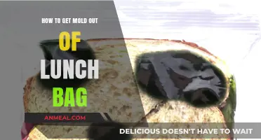 Effective Ways to Remove Mold from Your Lunch Bag