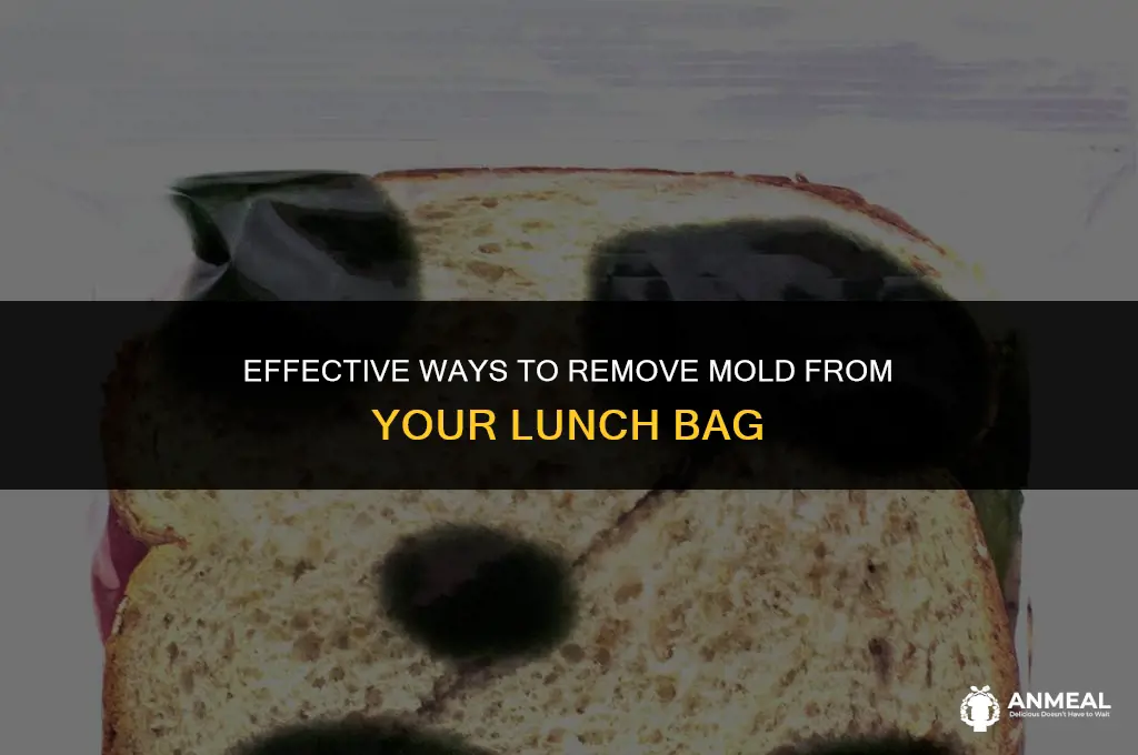 how to get mold out of lunch bag