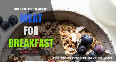 Plant-Powered Breakfasts: Delicious High-Protein Meatless Morning Meal Ideas