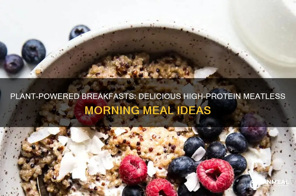 how to get protein without meat for breakfast