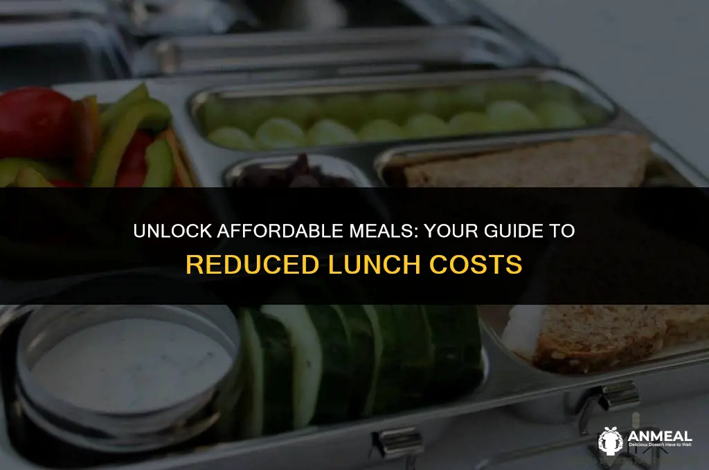 how to get reduced lunch ca