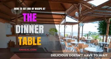 Effective Ways to Remove Wasps During Outdoor Dining