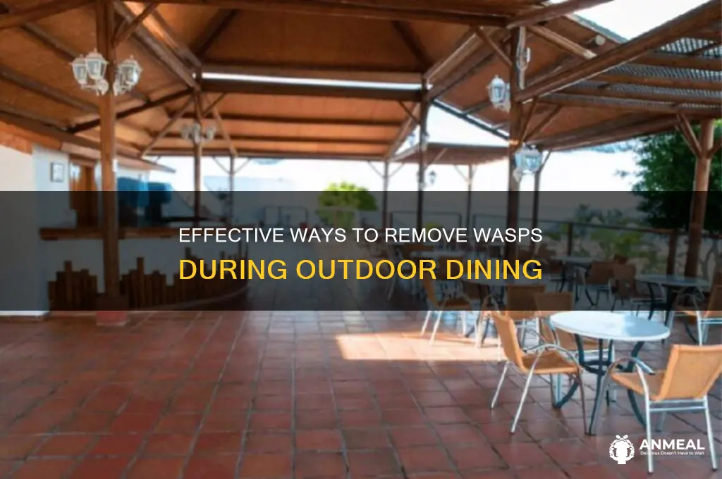 how to get rid of wasps at the dinner table