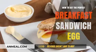 Mastering the Perfect Breakfast Sandwich Egg: Tips and Techniques