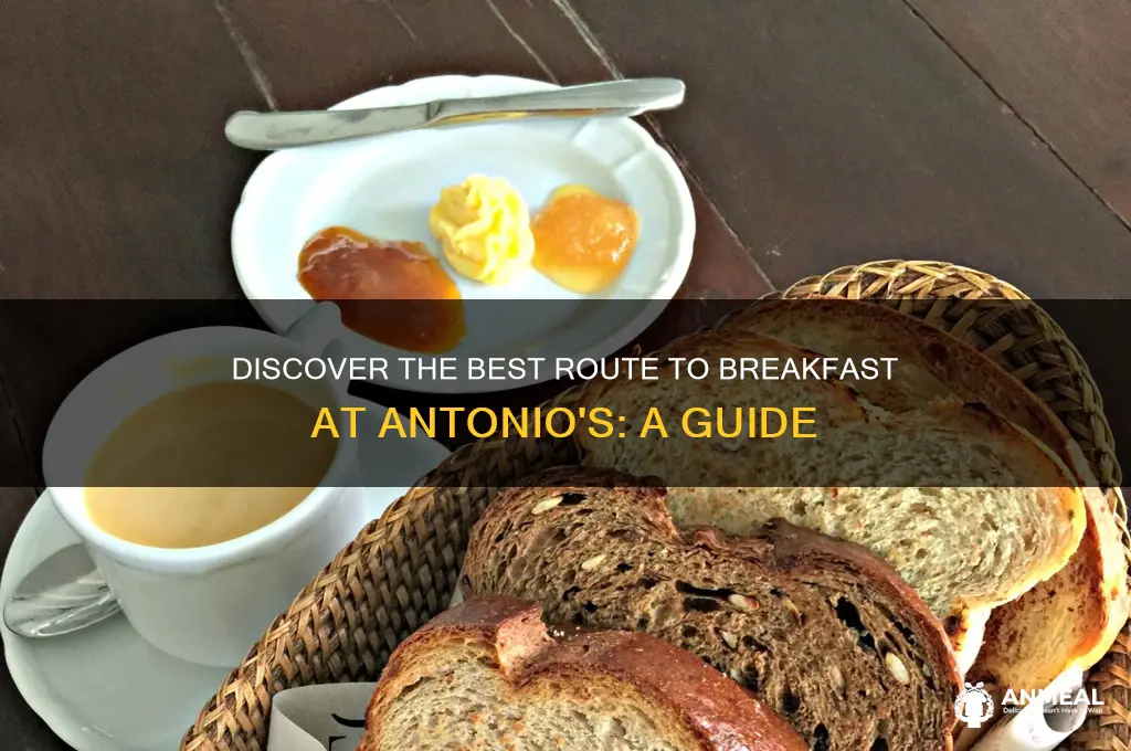 how to get to breakfast at antonio