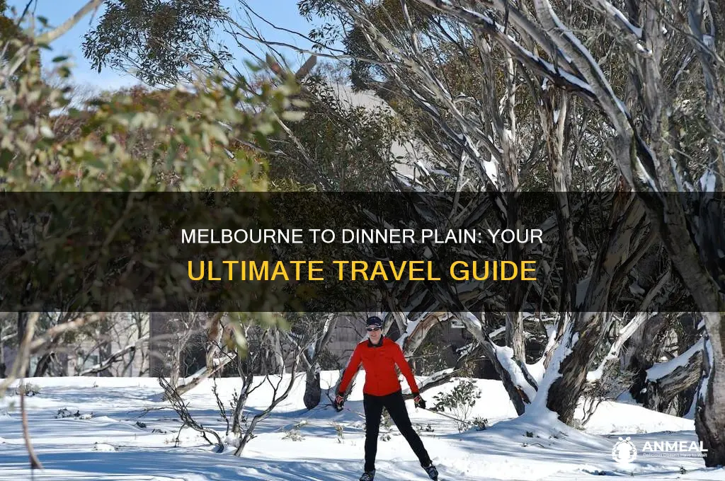 how to get to dinner plain from melbourne