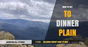 Your Ultimate Guide to Reaching Dinner Plain with Ease