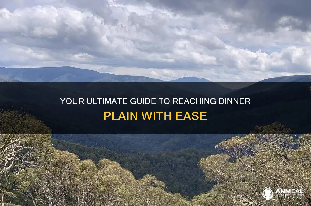 how to get to dinner plain