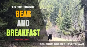 Discover Pine Falls: Your Ultimate Guide to Bear and Breakfast Adventure