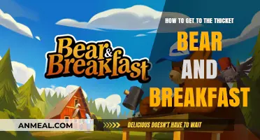 Discover the Thicket Bear and Breakfast: Your Ultimate Travel Guide