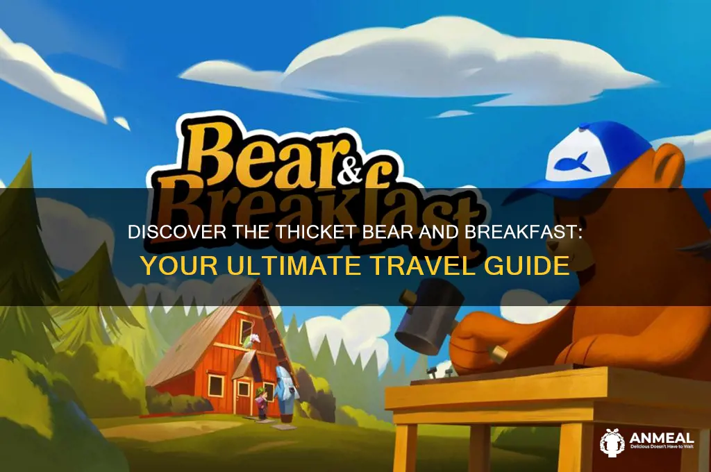 how to get to the thicket bear and breakfast