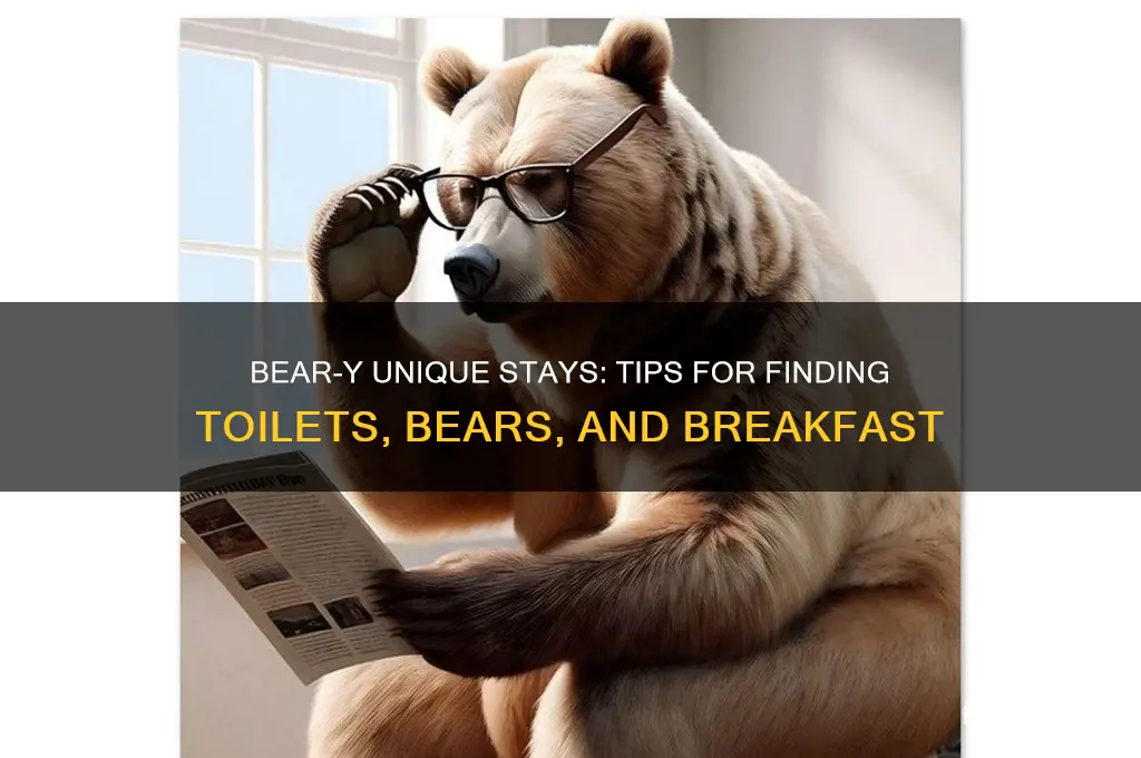 how to get toilet bear and breakfast