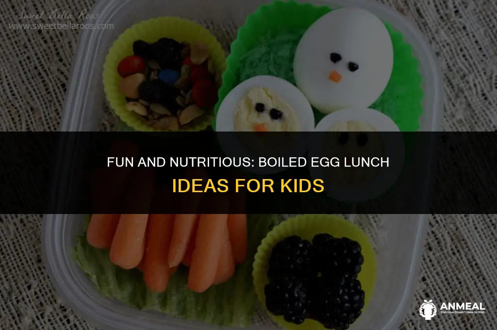 how to give boiled egg for kids lunch