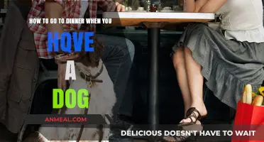 Dining Out with Your Dog: Tips for a Stress-Free Evening